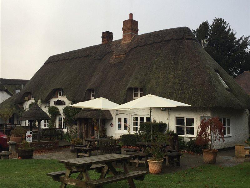 The Hatchet Inn Chute Екстериор снимка