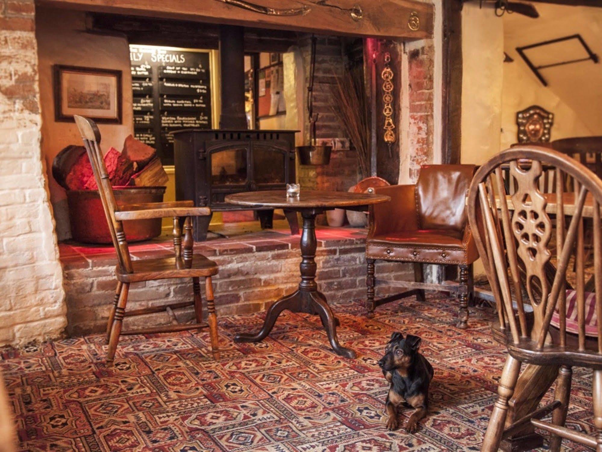 The Hatchet Inn Chute Екстериор снимка