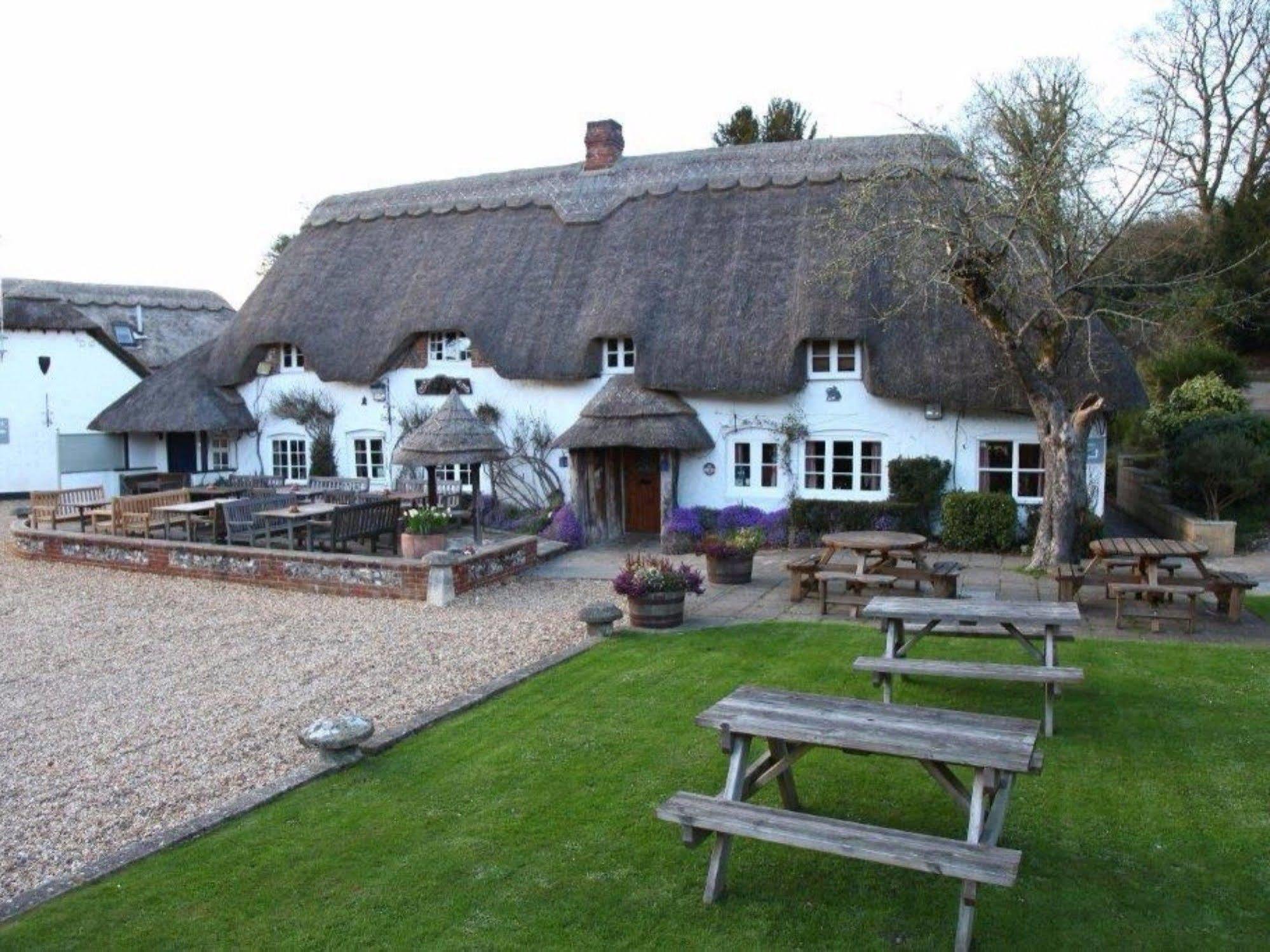 The Hatchet Inn Chute Екстериор снимка