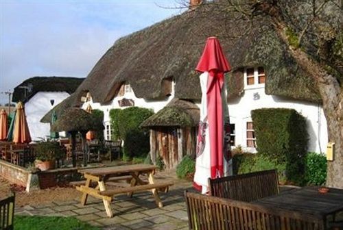 The Hatchet Inn Chute Екстериор снимка